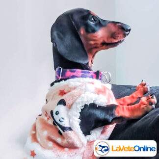 Chaleco Doble Abrigo Talle 0 - Línea Oslo (Máximo Confort) ❄️🐾