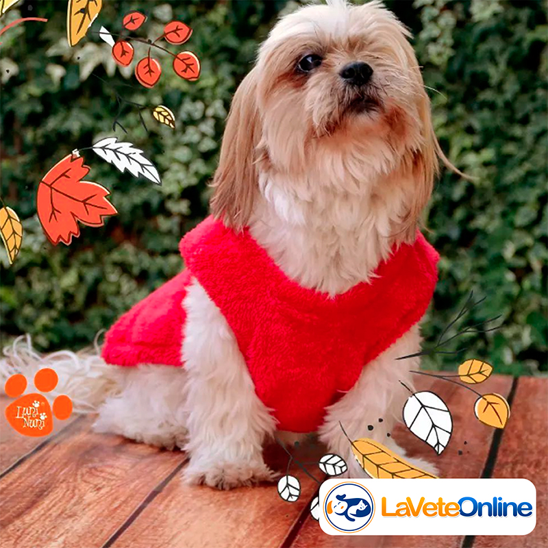 Chaleco Soft Talle 3 - Línea Bergen 🇳🇴🐾 - Image 7