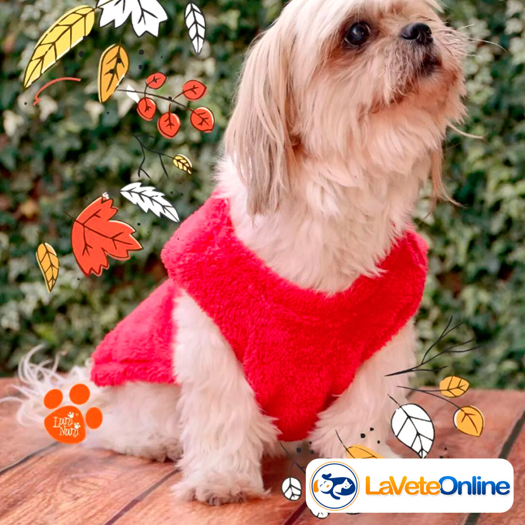 Chaleco Soft Talle 3 - Línea Bergen 🇳🇴🐾 - Image 8