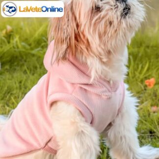 Buzo con Capucha Talle 1 - Línea Aspen (Corderoy Premium) 🌲🐾