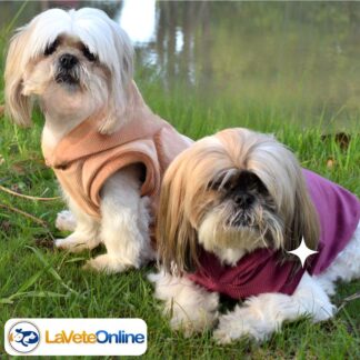 Buzo con Capucha Talle 6 - Línea Aspen (Corderoy Premium) 🌲🐾