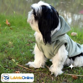 Buzo con Capucha Talle 3 - Línea Aspen (Corderoy Premium) 🌲🐾