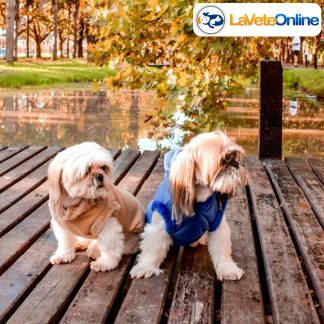 Buzo con Capucha Talle 5 - Línea Nuuk 🇬🇱🐾 - Colores Lisos