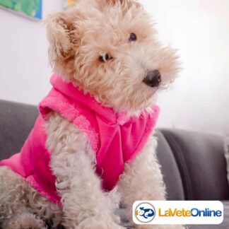 Buzo con Capucha Talle 1 - Línea Nuuk 🇬🇱🐾 - Colores Lisos