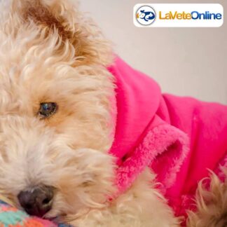 Buzo con Capucha Talle 3 - Línea Nuuk 🇬🇱🐾 - Colores Lisos