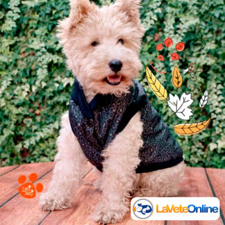 Campera Impermeable Talle 3 - Línea Cardiff (Matelassé Premium) 🌧️🐾 Termica Rompe viento