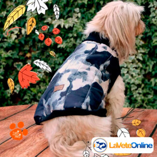 Campera Impermeable Talle 4 - Línea Cardiff (Matelassé Premium) 🌧️🐾 Termica Rompe viento