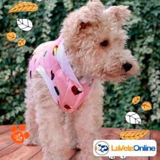 Campera Impermeable Talle 1 - Línea Cardiff (Matelassé Premium) 🌧️🐾 Termica Rompe viento