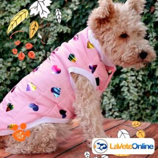 Campera Impermeable Talle 2 - Línea Cardiff (Matelassé Premium) 🌧️🐾 Termica Rompe viento