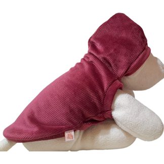 Buzo con Capucha Talle 4 - Línea Aspen (Corderoy Premium) 🌲🐾