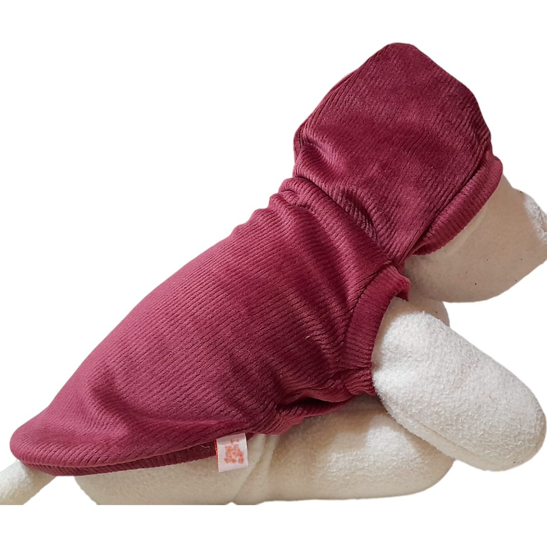 Buzo con Capucha Talle 4 - Línea Aspen (Corderoy Premium) 🌲🐾