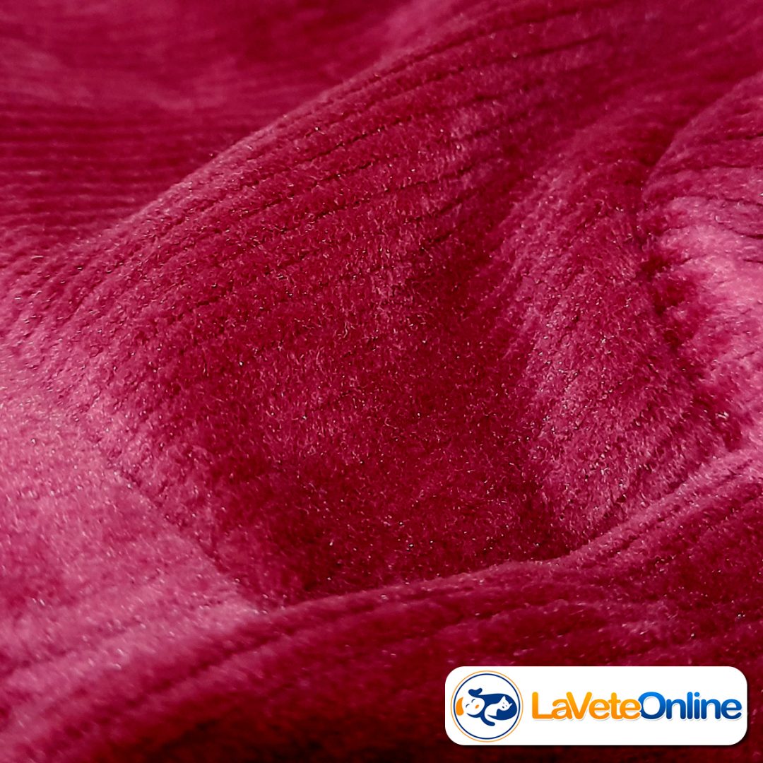 Buzo con Capucha Talle 4 - Línea Aspen (Corderoy Premium) 🌲🐾 - Image 5