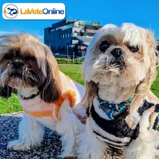 Chaleco Soft Talle 3 - Línea Bergen 🇳🇴🐾