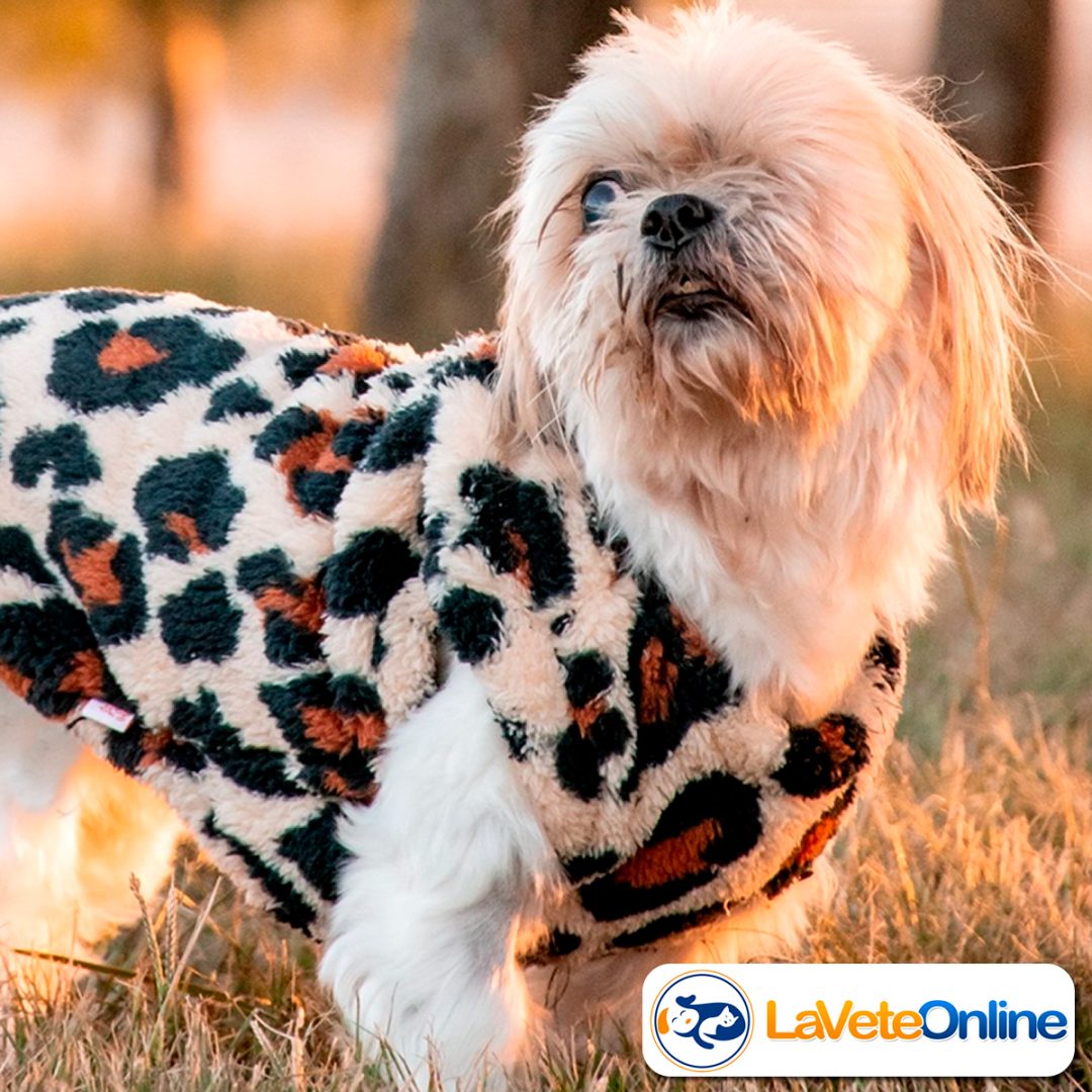 Chaleco Soft Talle 3 - Línea Bergen 🇳🇴🐾 - Image 4