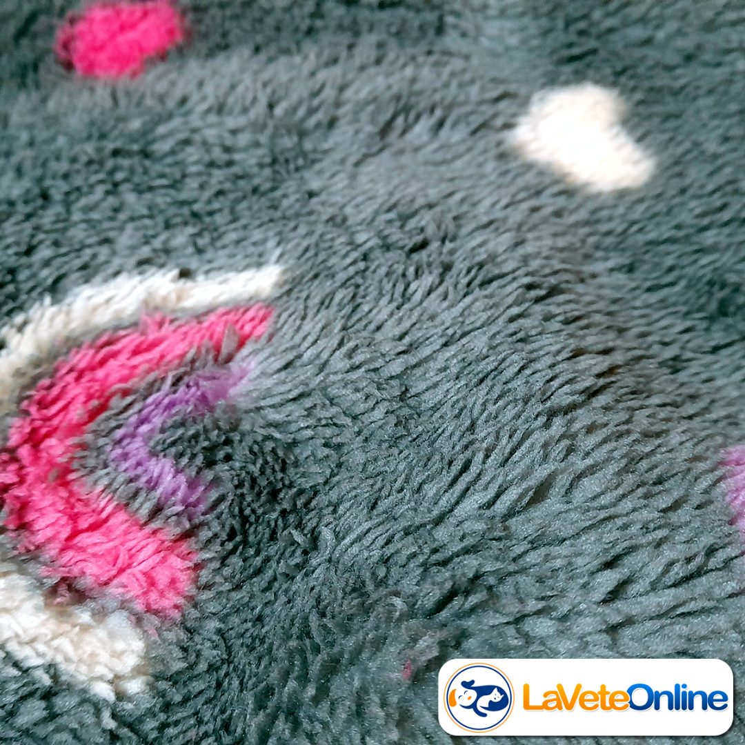 Chaleco Soft Talle 3 - Línea Bergen 🇳🇴🐾 - Image 5