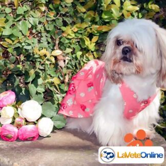 Vestido Primavera Talle 2