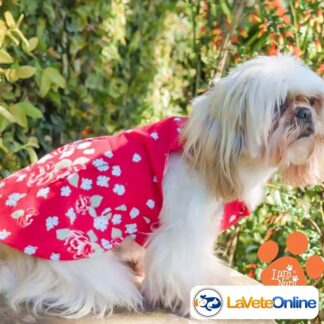 Vestido Primavera Talle 3