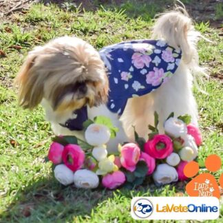 Vestido Primavera Talle 1