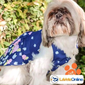 Vestido Primavera Talle 0