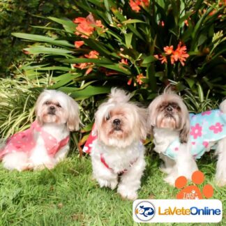 Vestido Primavera Talle 4