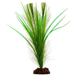 Deco Planta Green Parrot / Vallisneria Mix (PP1632)