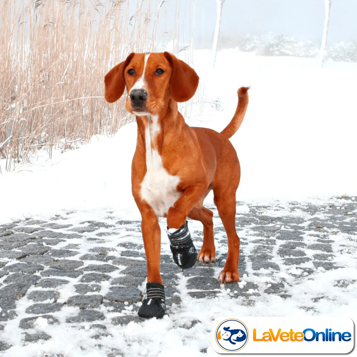 Botas Active Walker S/M - 1 Par (T19462) - Image 9