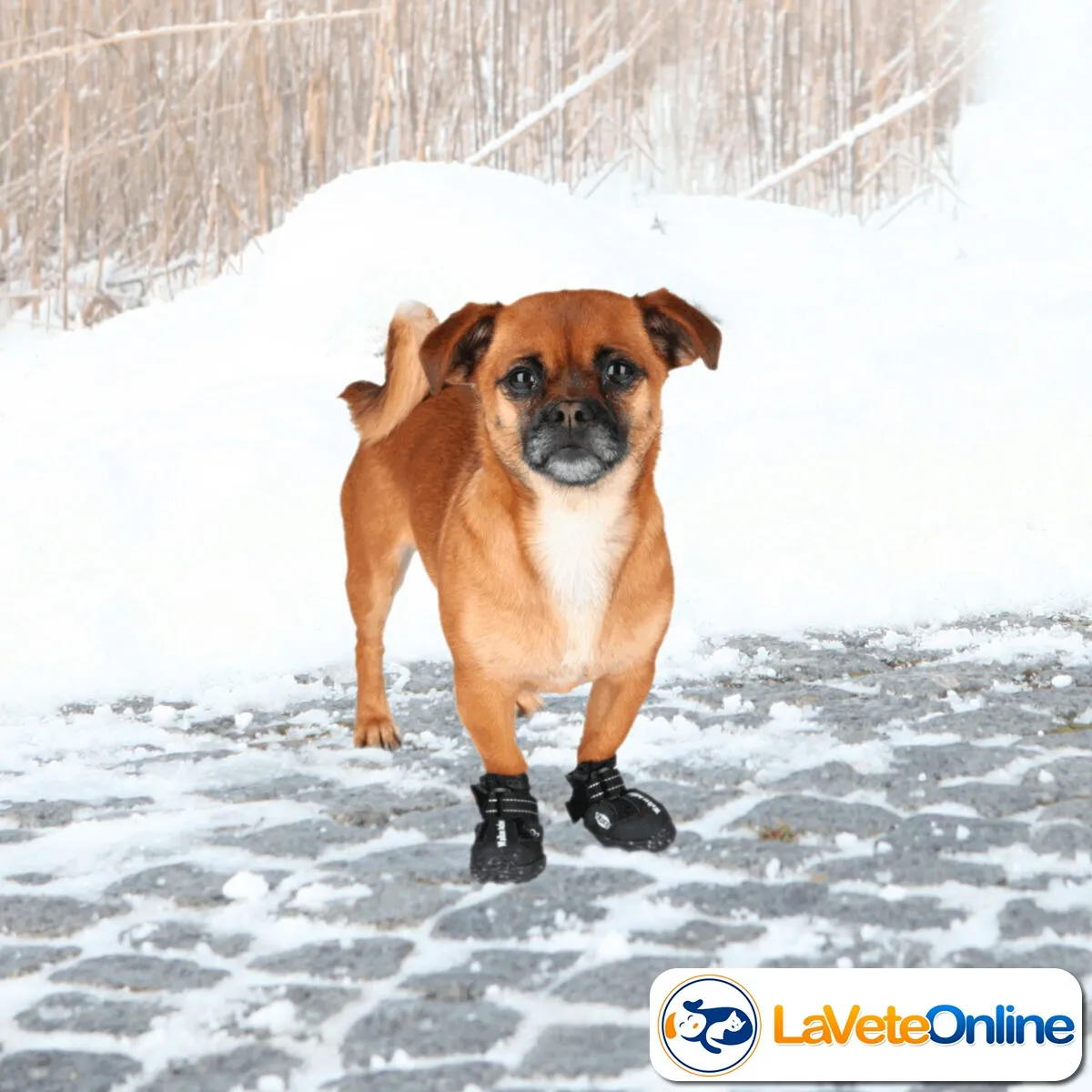 Botas Active Walker S/M - 1 Par (T19462) - Image 8