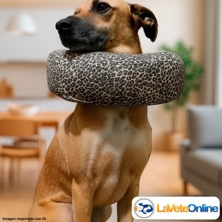 Colla Isabelino Tipo Dona Perro Gato Relleno Copos