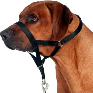 Collar Anti Tirones Top Trainer Talle XL 46 cm Hocico (T13006)