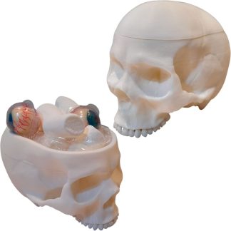 Calavera Con Tapa Y Gomitas Dulces Craneo Adorno Gotico Dark