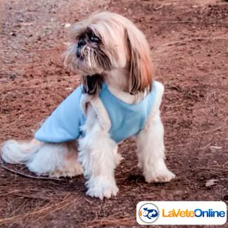 Chaleco Heritage Talle 3 - Línea Berna (Corderoy + Corderito) 🇨🇭🐾